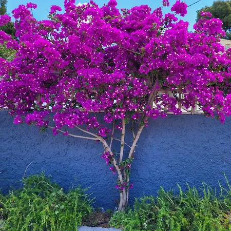 Hotel Casa Jessie Moraira